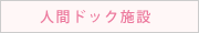 �ʹ֥ɥå�����