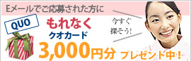 E᡼Ǥ礵줿ˤʤ3,000ʬץ쥼桪õ